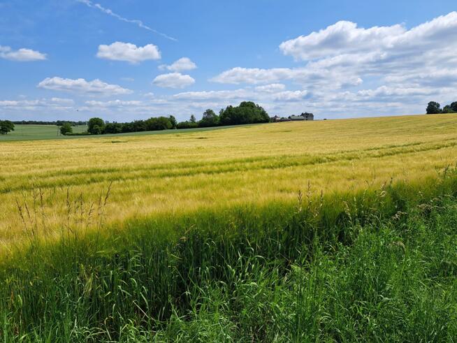 Działka budowlana Wielmoża gm. Sułoszowa