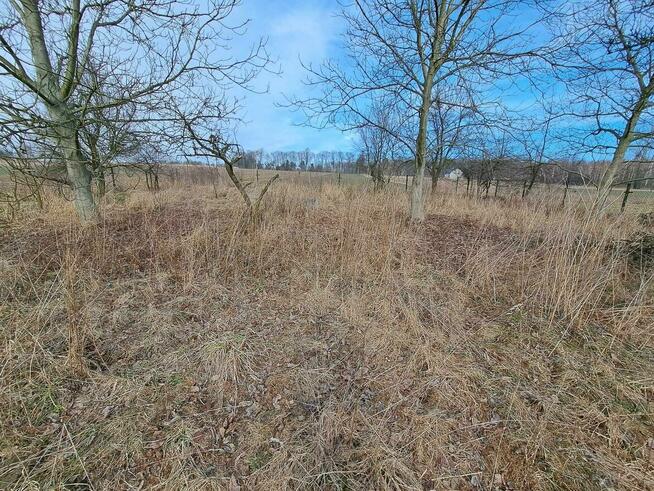 Działka budowlana Barbarka gm. Skała