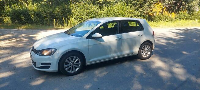 Przepiękny Golf 7