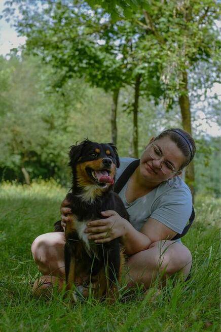 Ciapek-młody pełen radości pies do adopcji