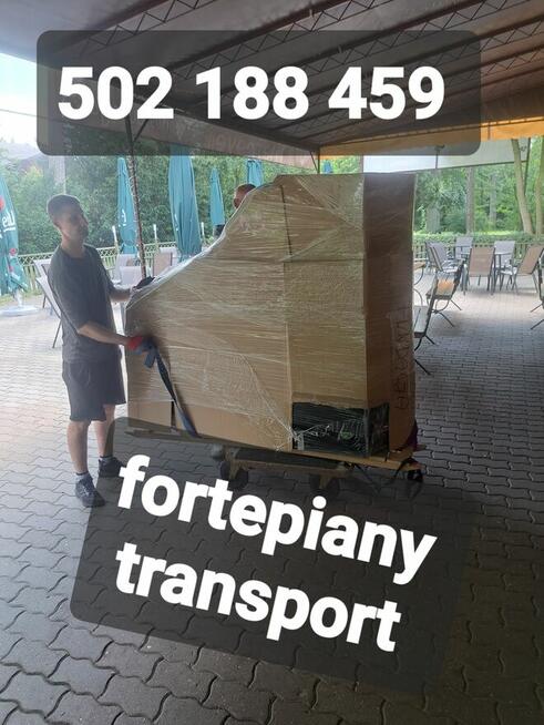 Transport Przeprowadzki / Tragarze Pomoc