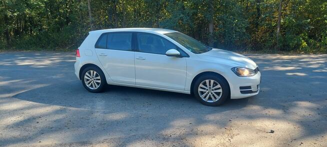 Przepiękny Golf 7