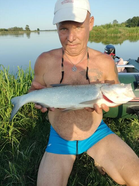 Szukam stałego związku.