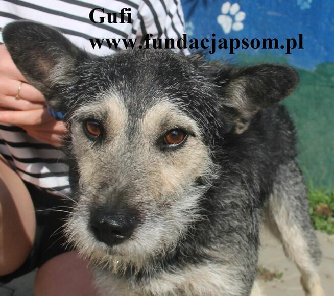 Gufi, cudowny sierściuch