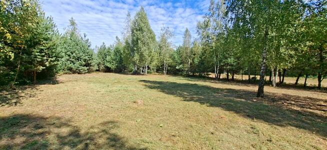 Sprzedam działkę 1,08ha