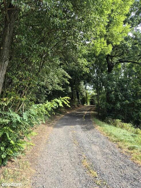 Sprzedam gospodarstwo rolne