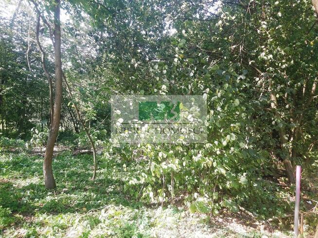 DO SPRZEDAŻY DZIAŁKA Z ZABUDOWANIAMI W CHODACZOWIE