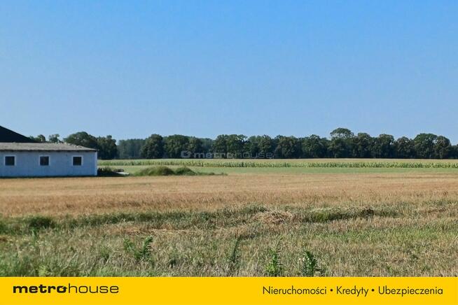 Działka budowlana, blisko Chojnic! Kaszuby!