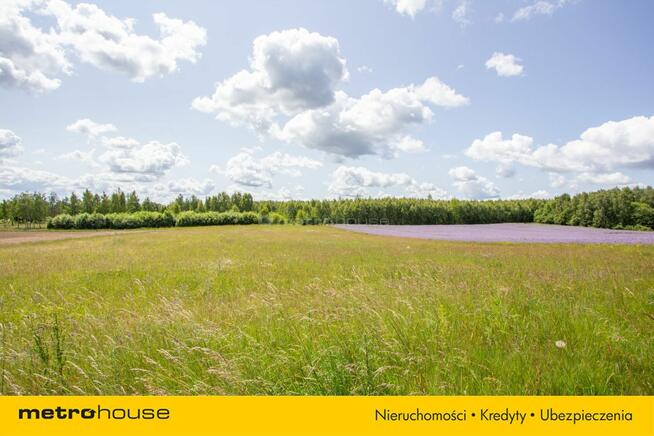 Działki nad Jeziorem Pile