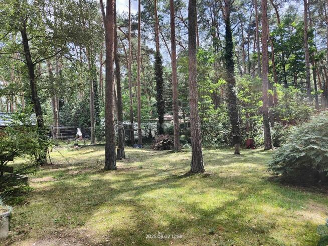 Dom w Sokolnikach, las i śpiew ptaków