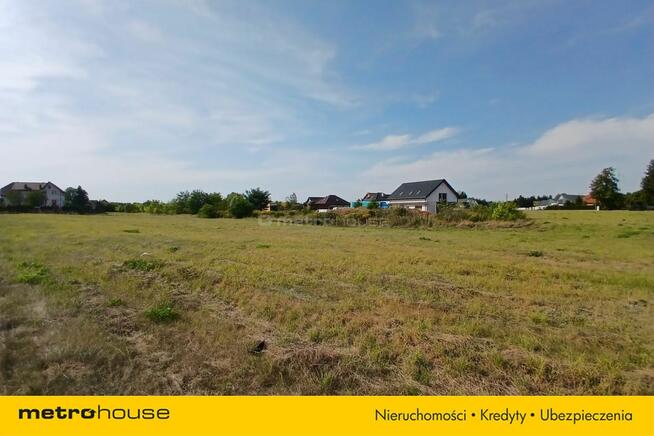 Działka Skrzeszew, ul. Nowodworska