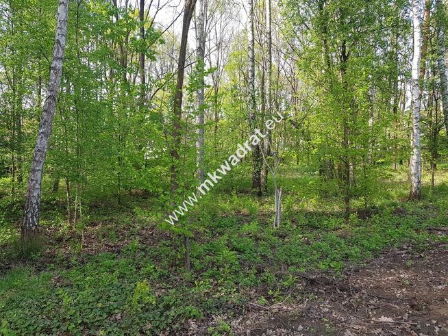 ⭐⭐⭐⭐⭐ Blisko WKD | media | cicha i słoneczna ⭐⭐⭐⭐⭐