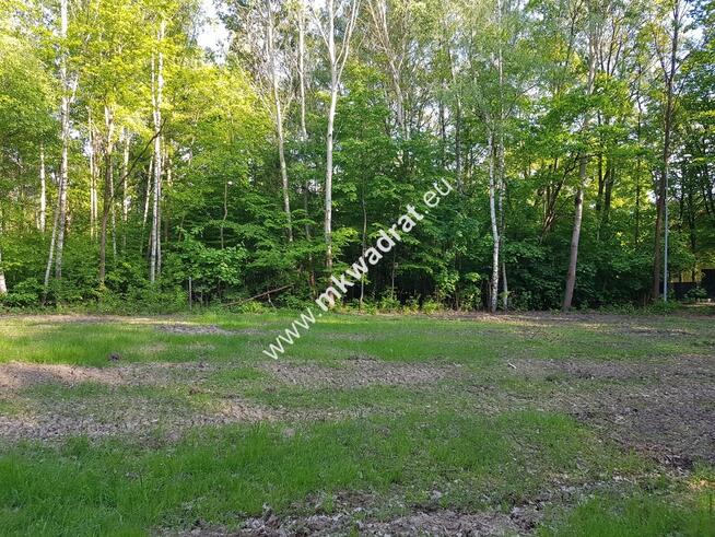 ⭐⭐⭐⭐⭐ Blisko PODKOWY pod dom 2 lokal. Media ⭐⭐⭐⭐⭐