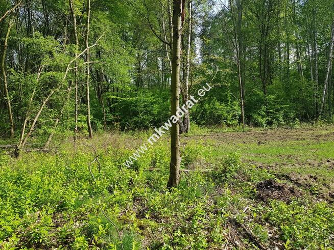 ⭐⭐⭐⭐⭐ Blisko PODKOWY pod dom 2 lokal. Media ⭐⭐⭐⭐⭐