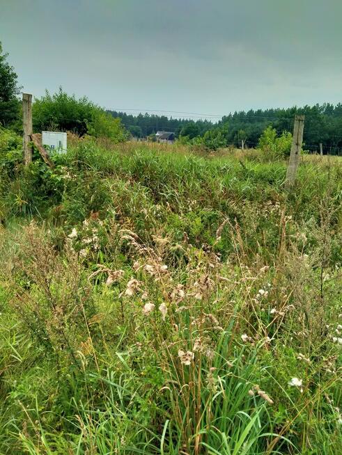 Działka 5000m2,Niekłończyca,gm.Police, plan,media.