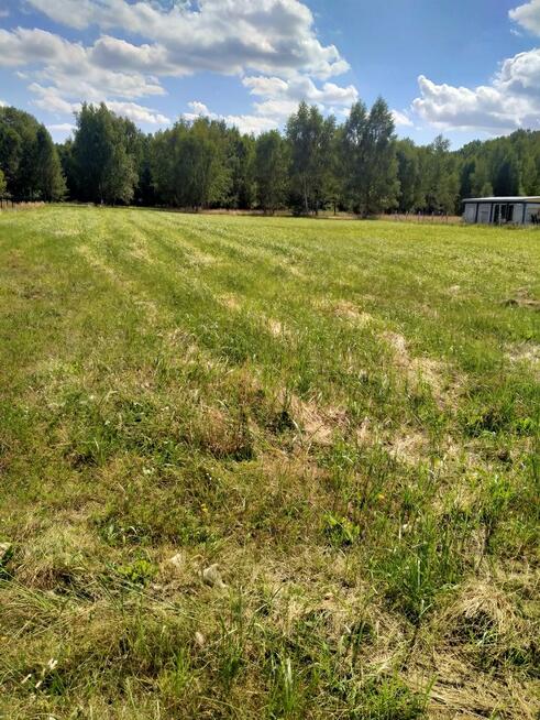 Działka 3179m2,obr.Grzepnica,gm.Dobra, las,media