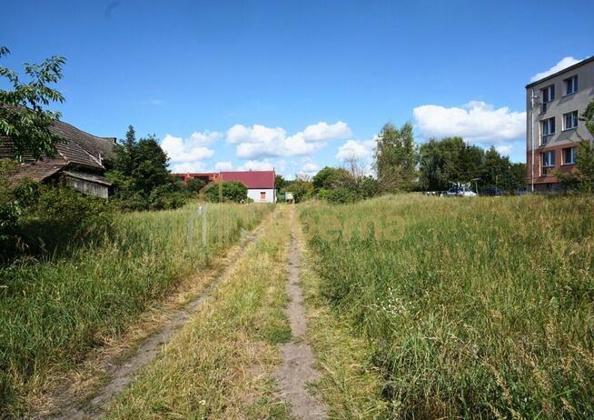 Dom do remontu z dużą działką