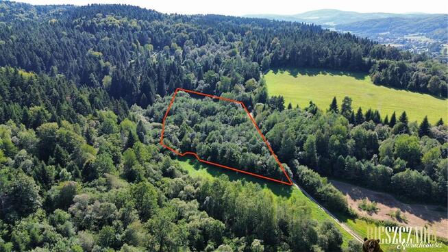 Duża działka w Bieszczadach - Hoczew, gm. Lesko