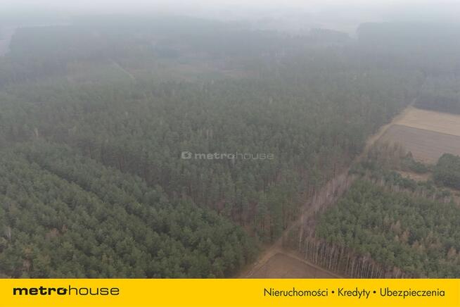 Nieruchomość leśna