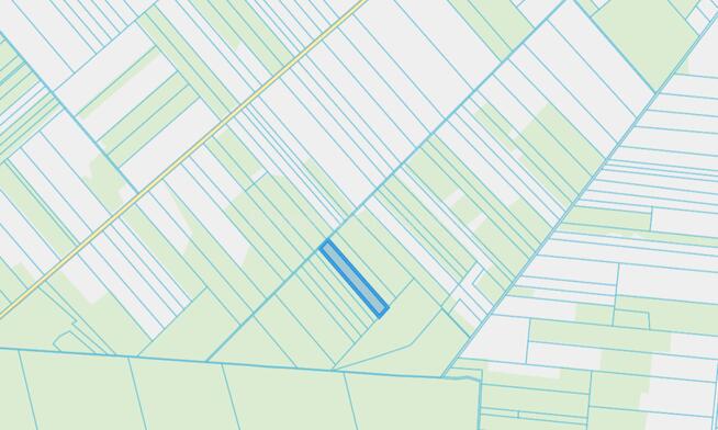 Nieruchomość leśna