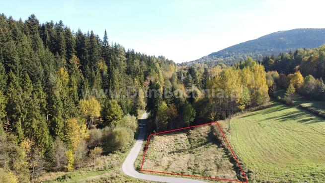 Działka rolna Kasina Wielka gm. Mszana Dolna