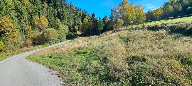 Działka rolna Kasina Wielka gm. Mszana Dolna