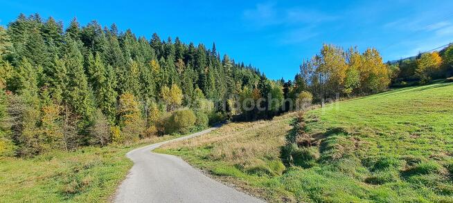 Działka rolna Kasina Wielka gm. Mszana Dolna