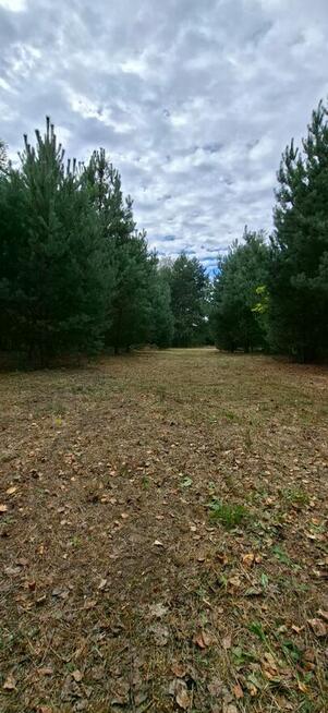 Sprzedam działkę 1,08ha