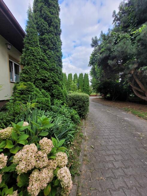 Na sprzedaż dom wolnostojący z ogrodem, dużą działką