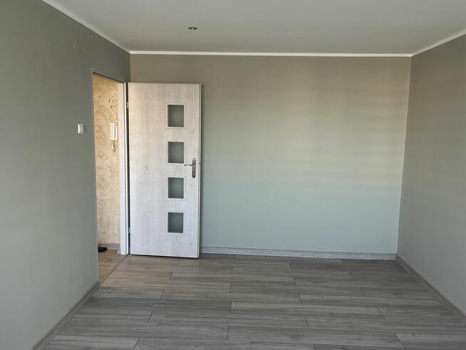 Wynajem mieszkania 31m