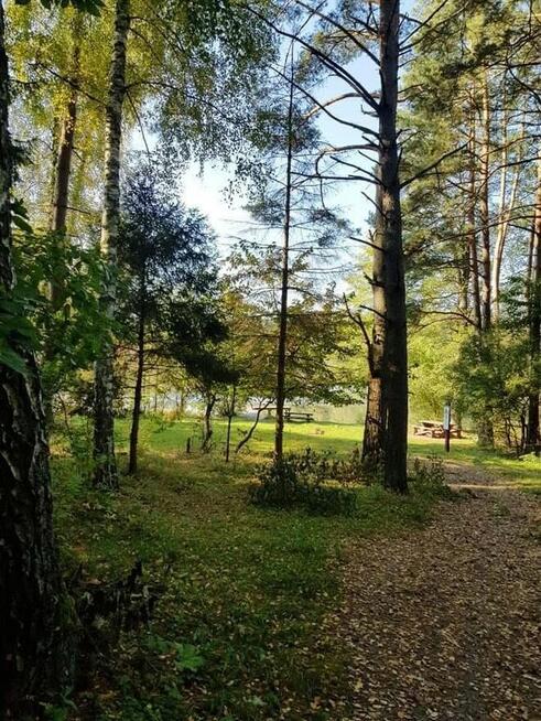 Mazury, domek 8-osobowy kolo Szczytna