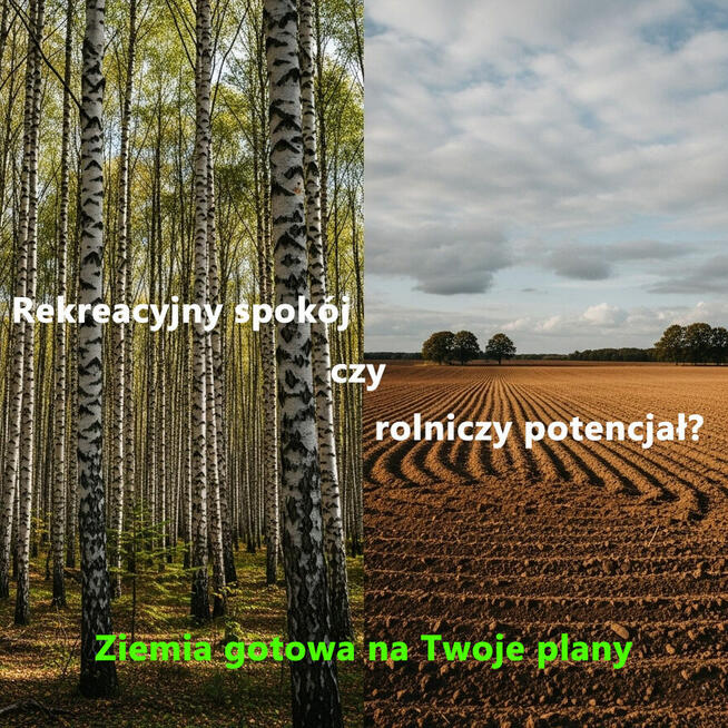 Sprzedam kompleks działek rolnych