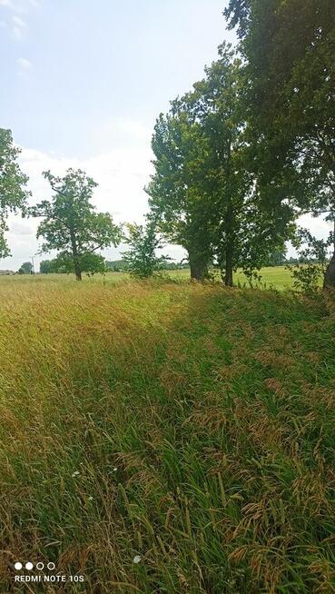 Sprzedam działkę w Krążkowie