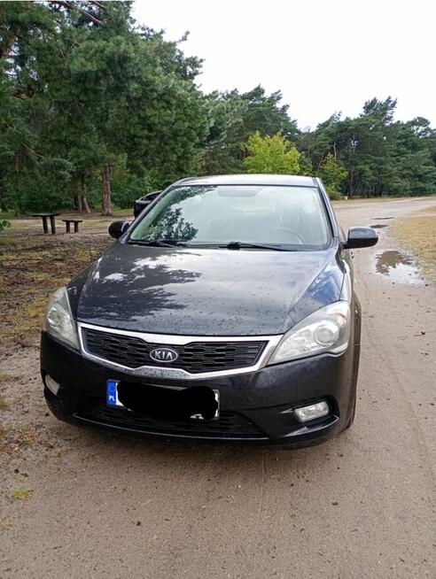 Kia Ceed 2011r. 1.4 brnzyna