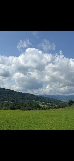 Dzialka rekreacyjno leśna 2200 metrów pewel mała