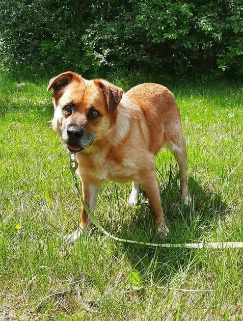 Kochany staruszek nigdy nie miał domu odmień jego los