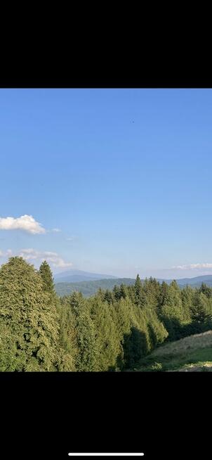 Dzialka rekreacyjno leśna 2200 metrów pewel mała