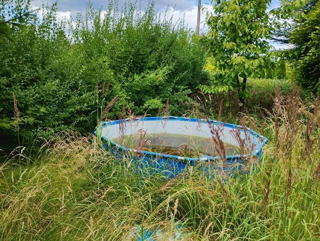 Przycinanie żywopłotów