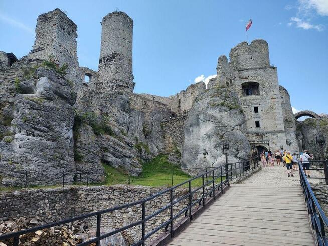 PrzystojnyMężczyzna