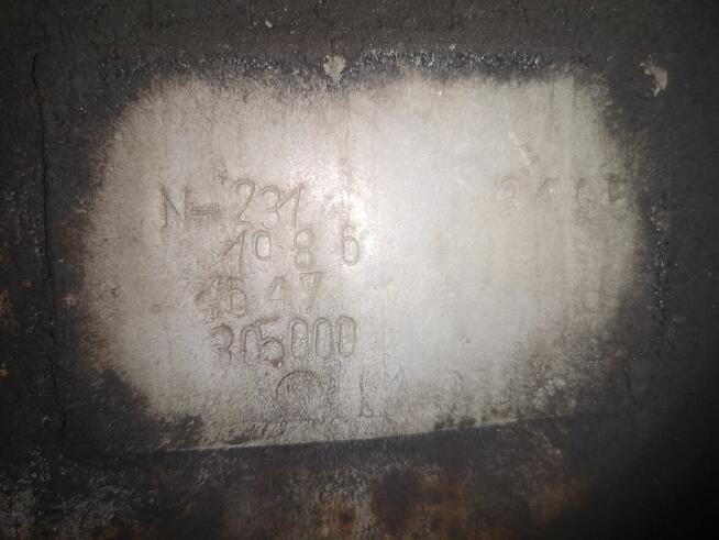 Rozrzutnik Czarna Białostocka