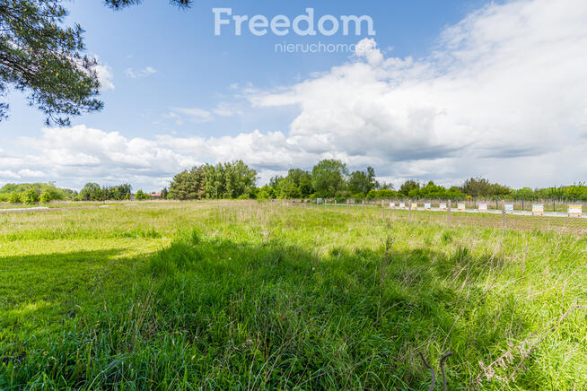 Dom do remontu na działce 2650 m²