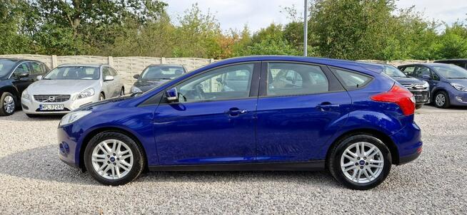 Ford Focus Jeden Właściciel Super Stan Bezwypadkowy