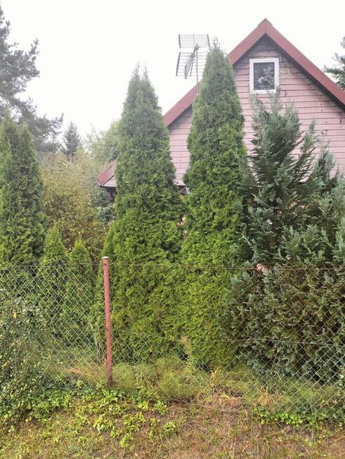 Domek , działka 1100 m, okolice Dorohuska super okolica