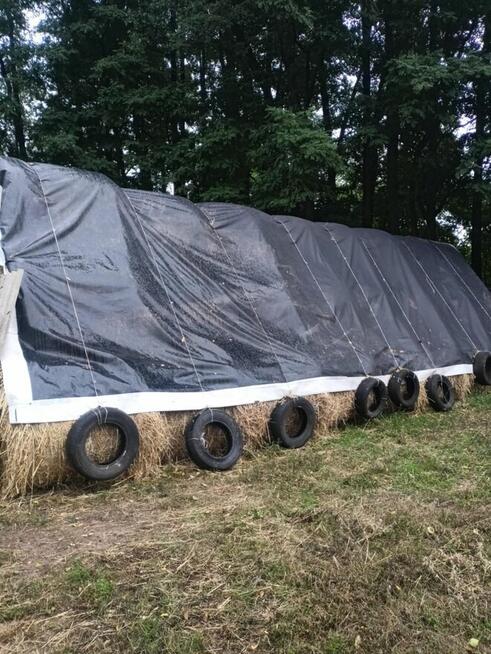 sprzedam słome i siano w balotach z pogodnego zbioru2025r