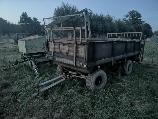 Rozrzutnik Czarna Białostocka