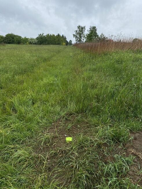 Do sprzedania dwie działki budowlane - pow. 16 arów każda