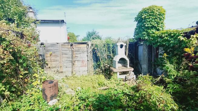 Przycinanie żywopłotów