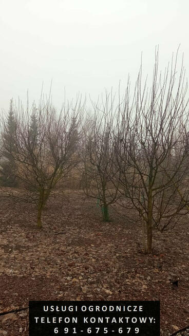 Usługi ogrodnicze - zakładanie i pielęgnacja ogrodów itp.