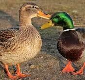 Bardzo proszę odezwij się do mnie i poznajmy się bliżej ...