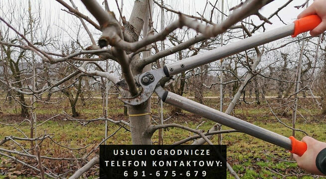 Usługi ogrodnicze - zakładanie i pielęgnacja ogrodów itp.